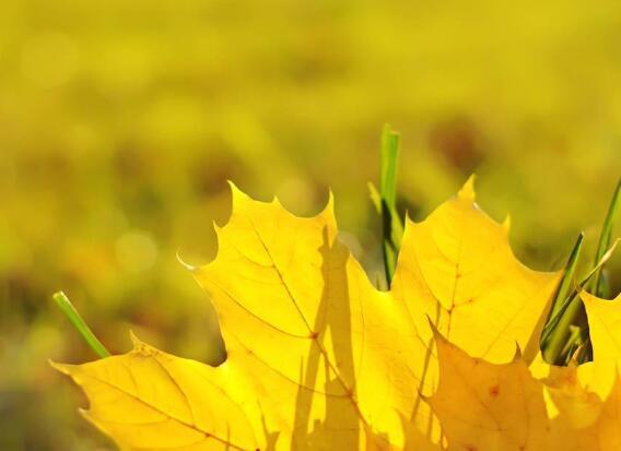   人生情感之一：  1