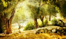 关于心烦的古诗句子