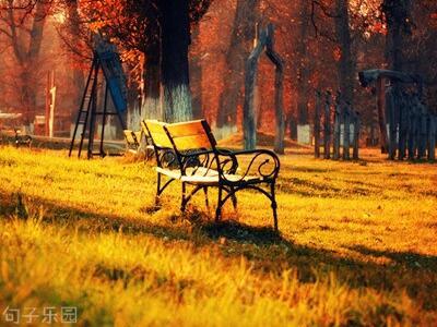 不管你来自哪里