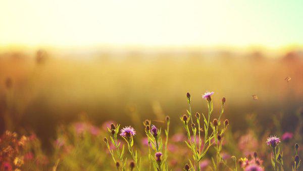 但实际上却很简单