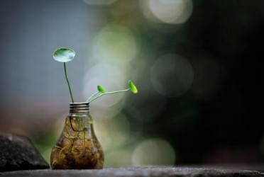 幸福虽然很普通