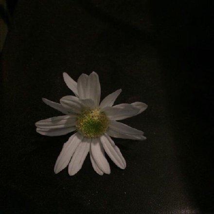 友谊中最难过的时刻是朋友的失望