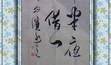 关于咏鸟抒情的诗句