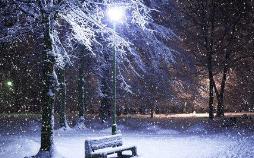 失望笼罩了一切