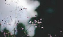 表示对男朋友失望透顶要离开的句子