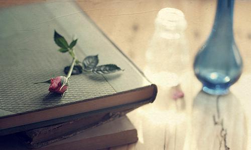 也许它永远不会飞