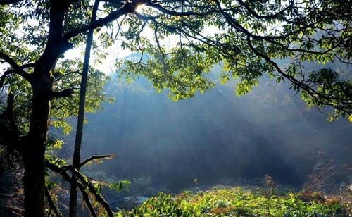 大自然真的很美