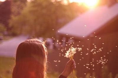 也许它会飞得越来越高