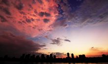 以亲情爱为主的句子