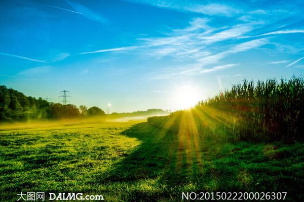 奇迹只是努力工作的别称