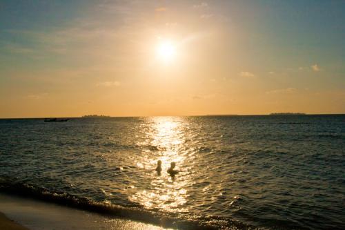 我的爱就像风筝