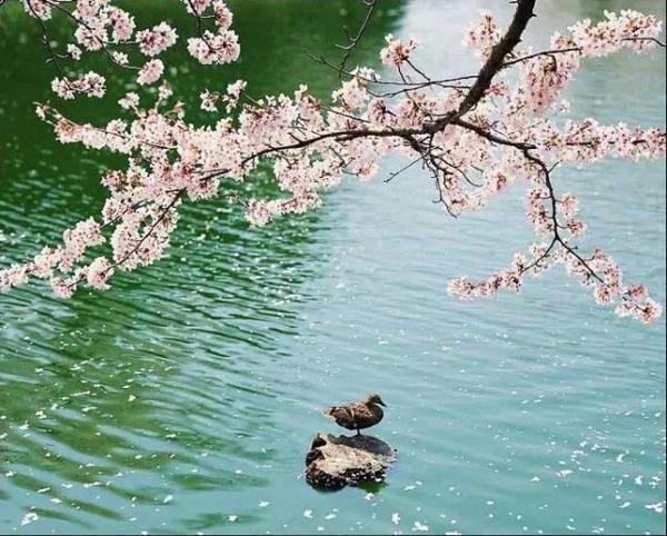 愿年轻人乘风破浪