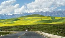 2020年最走心的经典句子