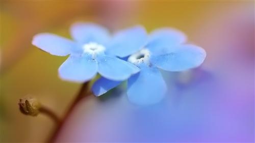 流行病过去之后