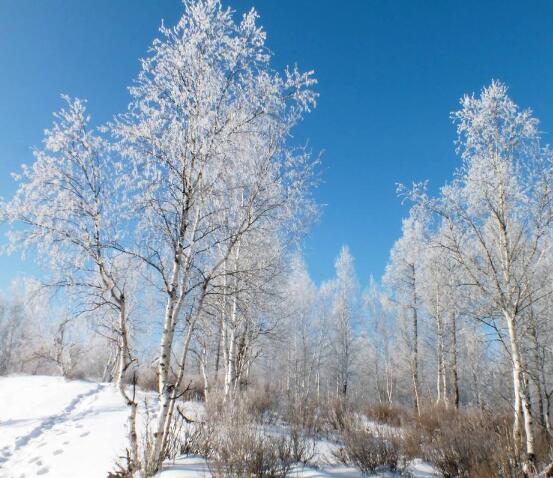 艰难的日子将永远过去