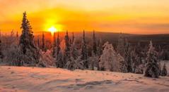 相爱的人往往会感到失望