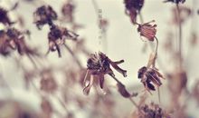 最喜欢的一句话大全