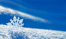 关于雪的经典句子