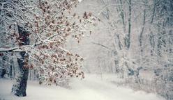 以下是小编为对兄弟姐妹感到失望的每个人编写的一句话