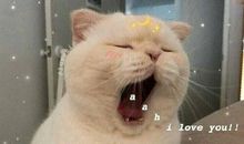 每天都睡不够的说说 睡眠不足朋友圈说说