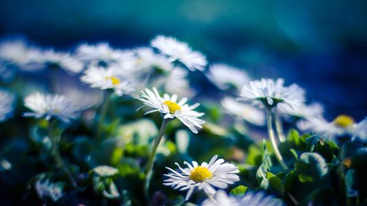 编辑汇编了一些有关表现出良好家庭关系的句子