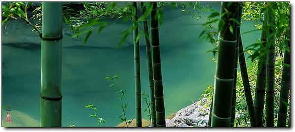 放下过去的烦恼