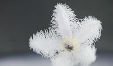 赞美亲情的优美句子