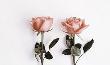 2017早安励志心语