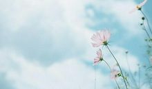 心烦带生气的句子