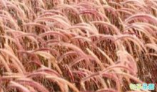 《朗读者》经典短句 《朗读者》最优秀的句子