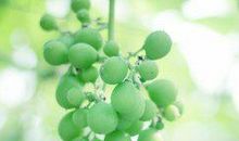 亲情文艺长句子说说心情