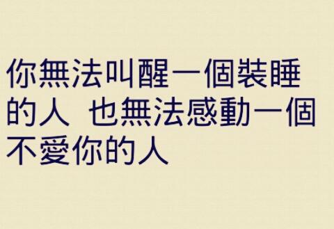     2015年经典现实语录  1