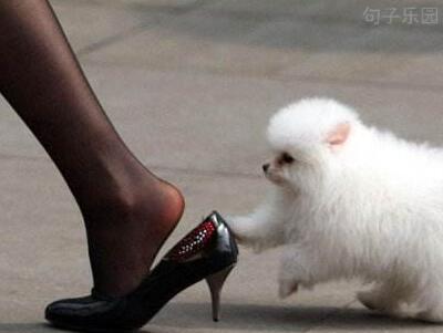 推门的第一句话是:我突然有强烈的学习冲动