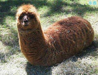 一位刚从淋浴间回来的伙伴