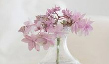 优美说说唯美的句子，优美的说说心情句子