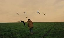 优美的英文句子