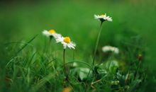 有哲理人生感悟唯美短语