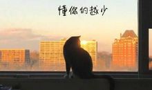 朋友圈心累的句子