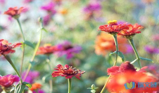 使用频率最高的英文语句 0