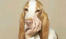 朋友圈搞笑说说，朋友圈幽默说说