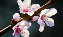 心静，智慧的大门就会打开