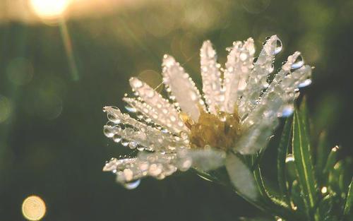 英文句子关于亲情 0