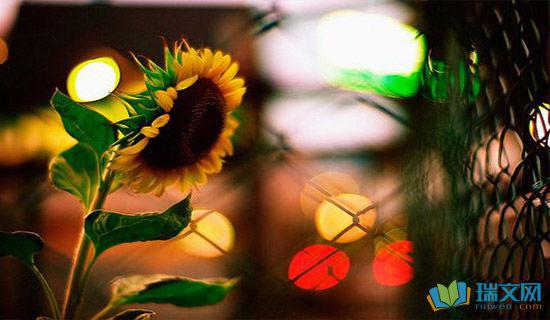 感人的英文语句精选 0