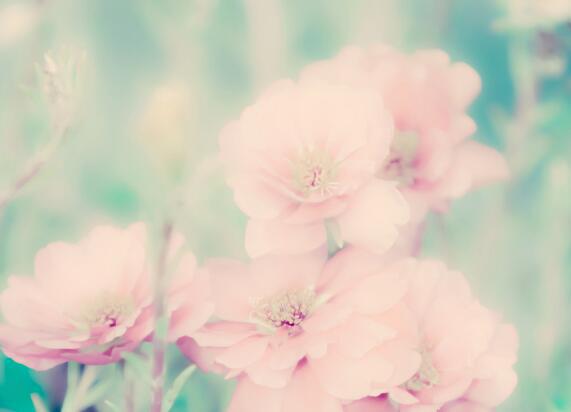 积极的态度是成功人士最基本的要素