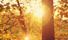 小时候开心的感觉句子