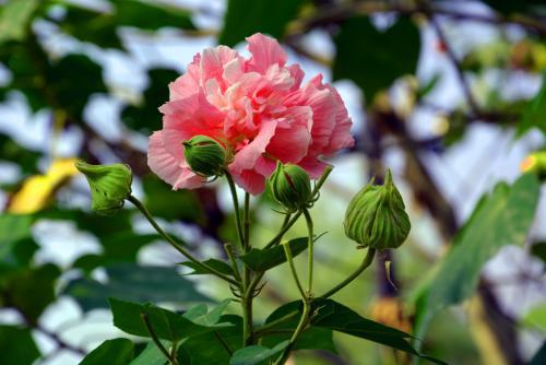 编辑编了一些我希望每年都开心的快乐句子