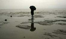 后悔与坚定的励志句子