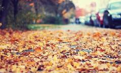 婚姻是爱情的坟墓