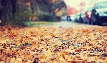 表对婚姻失望的句子