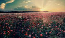 表白的话现实点的